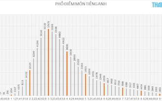 Điểm Thi THPT quốc gia 2018: Thí sinh bị điểm liệt môn tiếng Anh cao gấp đôi năm ngoái