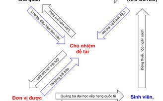 Tin tức giáo dục đặc biệt 30.11: Có quy định địa chỉ trên công trình khoa học?