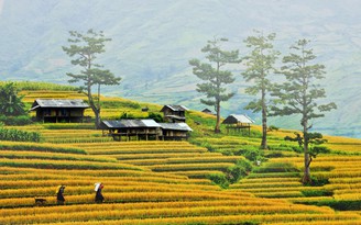 Những địa danh nên thơ của Việt Nam lọt đề cử Giải thưởng Du lịch Thế giới