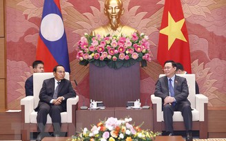 Nhanh chóng triển khai các dự án hợp tác trọng điểm Việt Nam - Lào