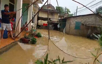 Cất vó đánh cá trong sân nhà ngay vùng "rốn lũ" Quảng Trị Cất vó đánh cá trong sân nhà ngay vùng "rốn lũ" Quảng Trị