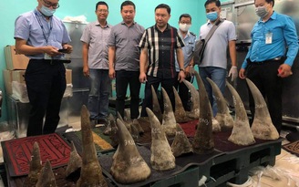 Phát hiện số lượng lớn nghi là sừng tê giác tại sân bay Tân Sơn Nhất
