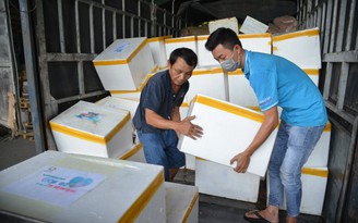Chở 3 tấn cá từ Quảng Bình tặng khu phong tỏa, gian hàng 0 đồng ở TP.HCM