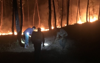 Thừa Thiên - Huế: Dập tắt nhiều vụ cháy rừng sau 3 ngày 2 đêm