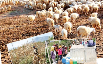 Đặc biệt trên báo in hôm nay 5.4.2015