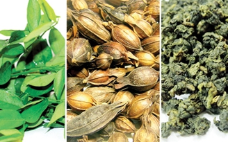 Ăn uống cho người bị huyết áp cao