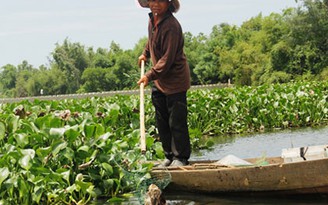 Cá chết trắng sông Bà Rén