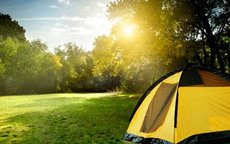 Những lợi ích không ngờ của cắm trại