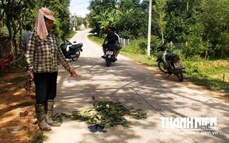 Bị đâm chết vì ngăn mẹ của nghi phạm về nhà ăn chè