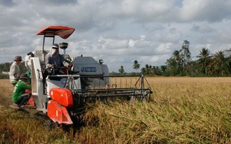 Cần 'nâng cấp' nền nông nghiệp Việt
