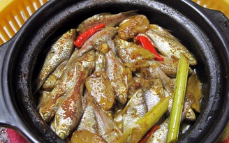 Vấn vương cá đồng kho nghệ