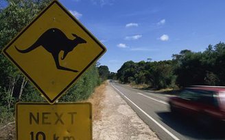 Công nghệ chống kangaroo cho xe