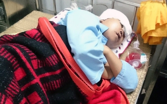 Cô giáo bị 'giết hụt': Dùng đá đập liên tiếp vào đầu và gáy nạn nhân
