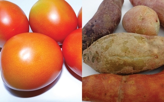 Rau củ chống hói