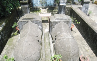 Kỳ bí lăng mộ cổ: Nấm mộ hình voi phục ở Biên Hòa