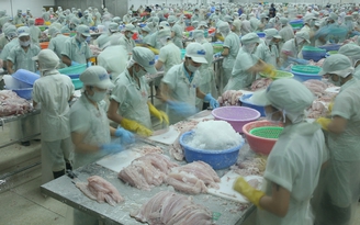 23 nhà máy đủ điều kiện xuất khẩu cá tra vào Mỹ