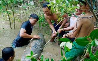 Xử lý an toàn bom 'khủng'