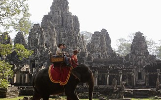 Campuchia cấm cưỡi voi tại đền Angkor Wat