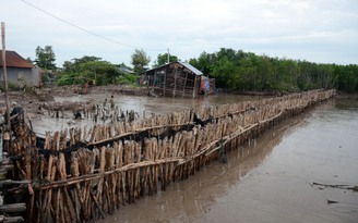 Kiên Giang: Cần hơn 1.600 tỉ đồng để chống sạt lở bờ biển