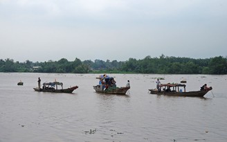 Tạm giữ hình sự tài công gây tai nạn liên hoàn trên sông Vàm Cỏ Đông