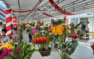 Trên 800 nghệ nhân tham gia hội thi hoa phong lan toàn quốc tại Vĩnh Long