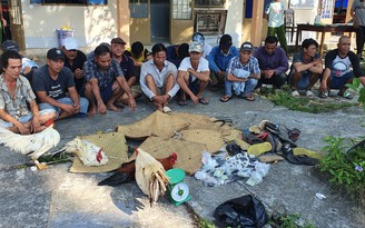 Kiên Giang: Bắt quả tang 18 người đá gà ăn tiền, thu giữ gần 200 triệu đồng