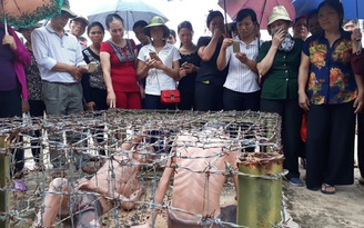Kiên Giang dành 50 tỉ đồng tu bổ di tích Trại giam Phú Quốc