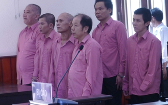 Hoãn phiên tòa xét xử vụ phá hơn 64 ha rừng ở Bình Định