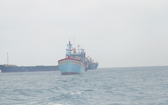 Bình Định: Chủ tàu cá bị phạt 900 triệu đồng vì xâm phạm lãnh hải nước ngoài