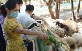 FLC “tung chiêu” nghỉ dưỡng 0 đồng cho người dân Bình Định