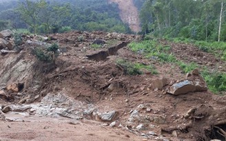 Bình Định: Sạt lở núi làm hư hại 9 ha rừng và ruộng lúa, hoa màu