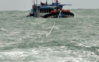 Tàu cá bị chìm sau cú va chạm với tàu hàng, 3 ngư dân được cứu sống