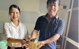 Bình Định: Kỹ sư điện mua rùa biển rồi giao nộp để thả về tự nhiên