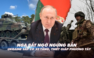 Xem nhanh: Ngày 316 chiến dịch Nga, ông Putin bất ngờ ra lệnh ngừng bắn; Mỹ, Đức, Pháp cấp xe tăng, thiết giáp cho Ukraine