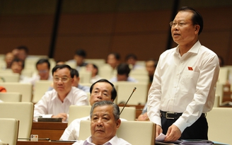 Nông dân 'cay mắt' vì chục ký hành tím không đổi được tô phở