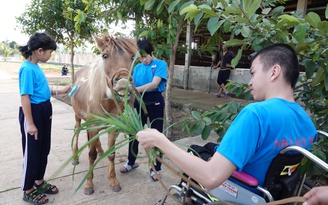 Độc đáo dùng ngựa trị bệnh cho trẻ khuyết tật tại Nhà May Mắn