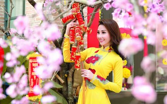 Sắc xuân cùng áo dài