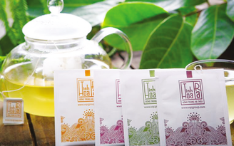 VCQ Group - Tinh hoa trà Đông trùng Hạ thảo
