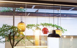 Cuộc chơi chất liệu