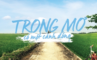 Trong mơ có một cánh đồng