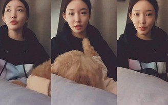 Đang cách ly, Chungha livestream chia sẻ về hai nhân viên nhiễm Covid-19