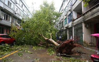 Trung Quốc chịu tổn thất lớn vì siêu bão Lekima
