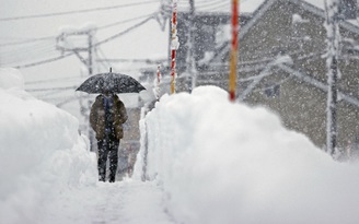 Nhật Bản oằn mình vì tuyết, đã có 17 người chết