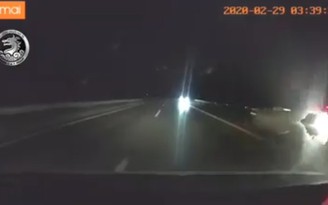 'Thất kinh' với 2 ô tô bật đèn pha chạy ngược chiều trên cao tốc