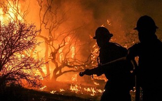 Bắt quả tang 2 người đốt rừng thuê ở Phú Quốc