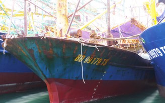 Lập tổ công tác thẩm định chất lượng tàu cá vỏ thép