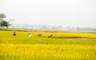 Trao giải báo chí toàn quốc 'Tự hào nông dân Việt Nam'