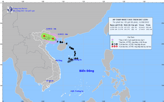 Tin tức thời tiết hôm nay 11.8.2022: Áp thấp nhiệt đới đi vào Quảng Ninh - Hải Phòng