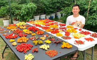 Choáng ngợp với chàng trai trồng hơn 500 loại ớt trong vườn nhà