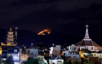 Lâm Đồng: Cháy lớn trên núi Đại Bình